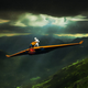 Freedom Is A Snazzy Orange Glider